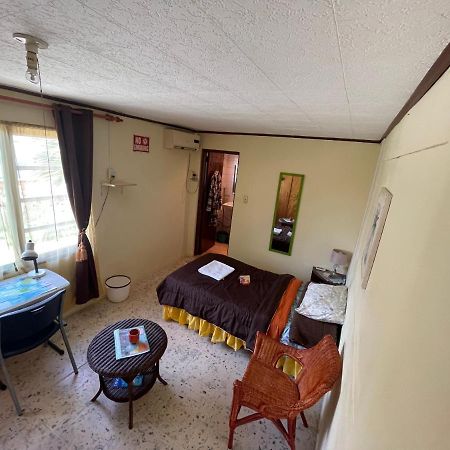 Aruba Backpackers Apartment Oranjestad Ngoại thất bức ảnh