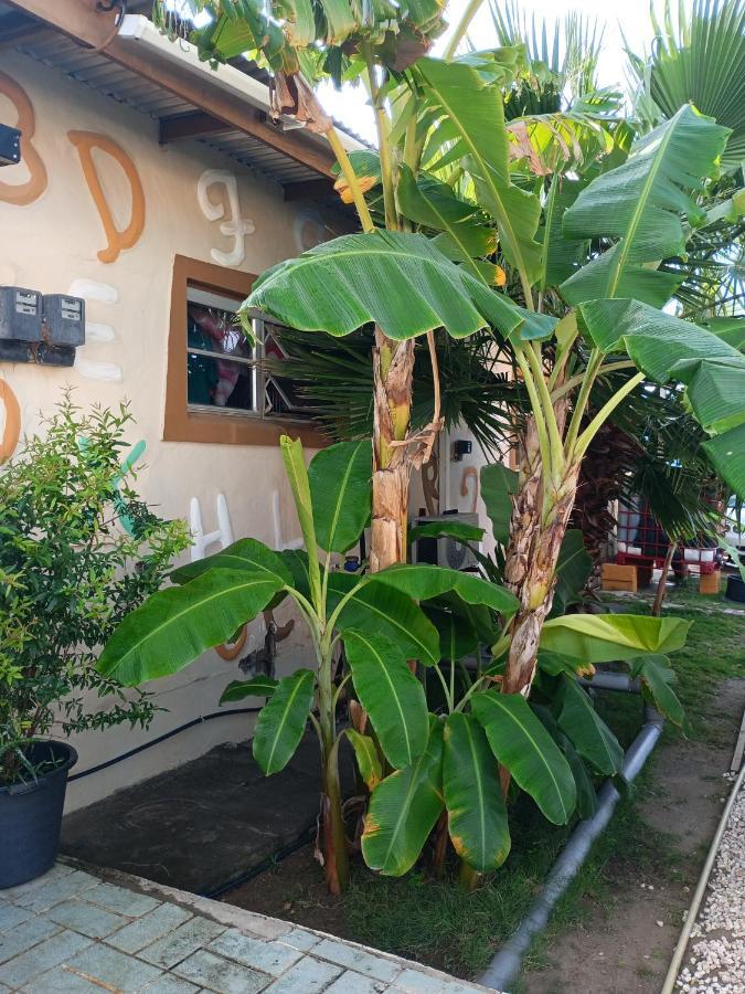 Aruba Backpackers Apartment Oranjestad Ngoại thất bức ảnh