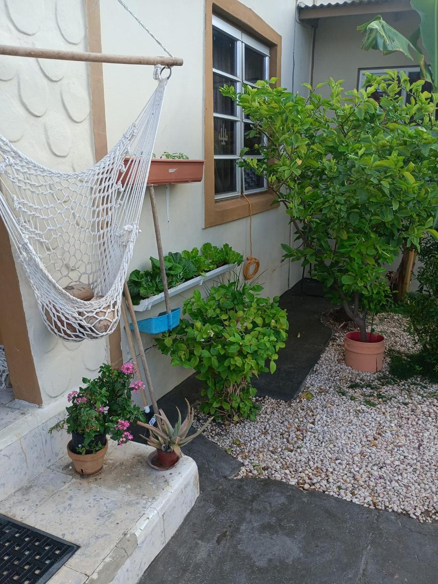 Aruba Backpackers Apartment Oranjestad Ngoại thất bức ảnh