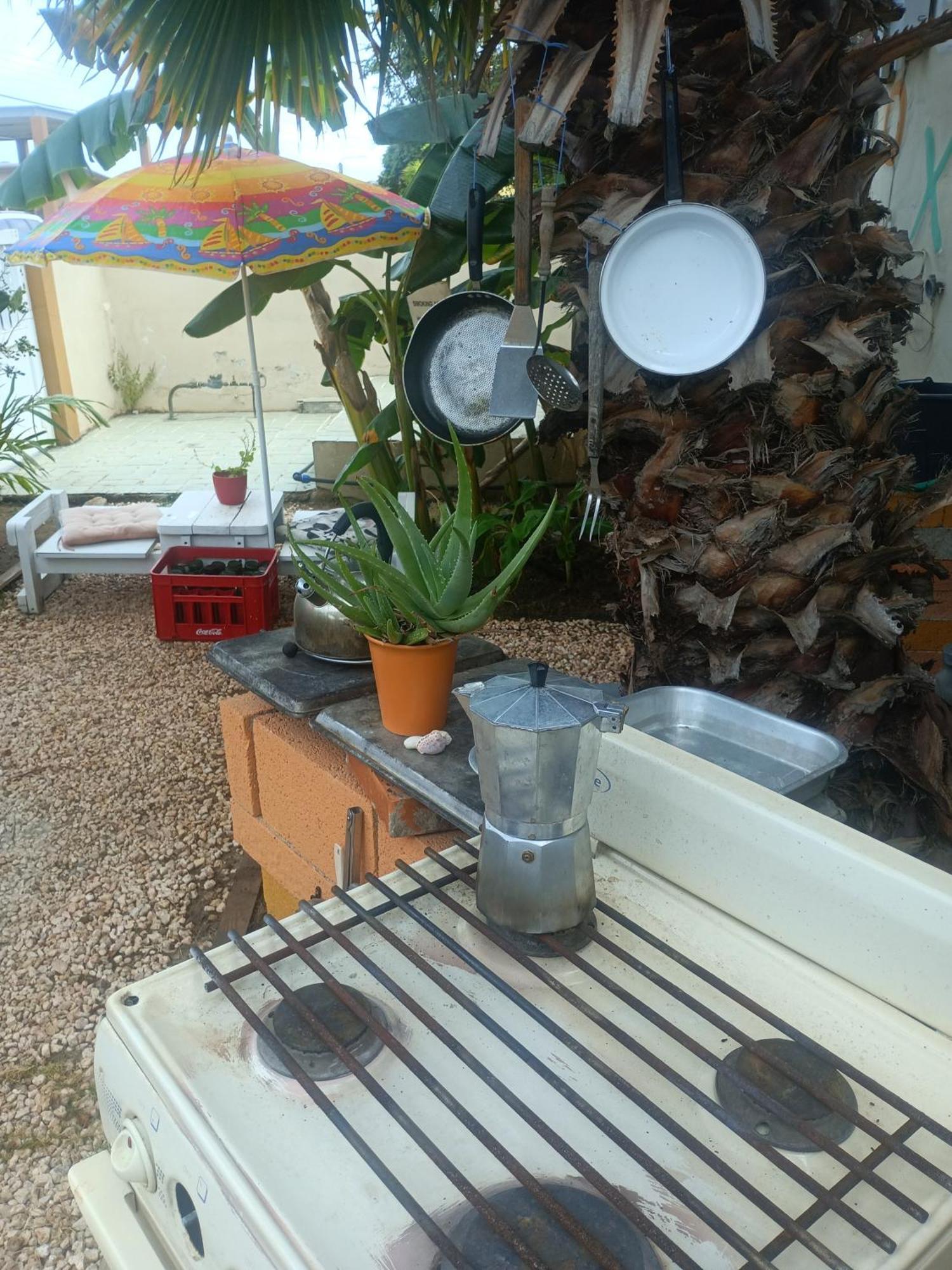 Aruba Backpackers Apartment Oranjestad Ngoại thất bức ảnh